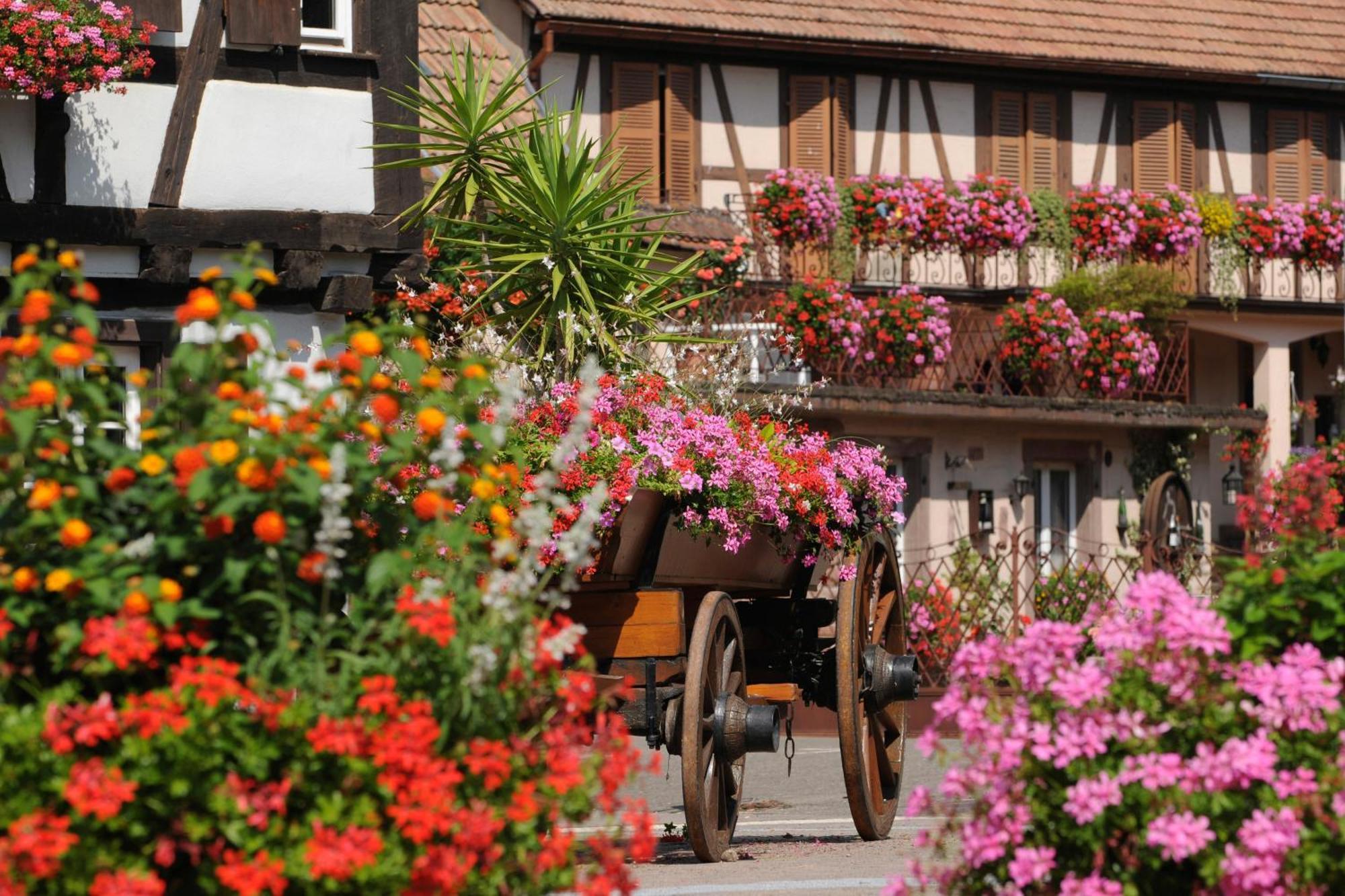 Gite Marcel Et Marianne Jardin Et Parking Privatifs Ebersheim Exterior photo